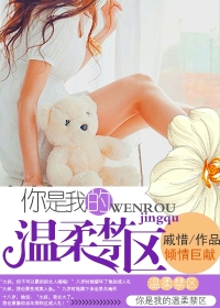 你是我的温柔禁区